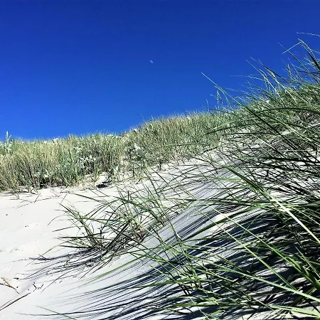 Bickbeeren Bickbeeren Barbara Whg. 4 Dierhagen